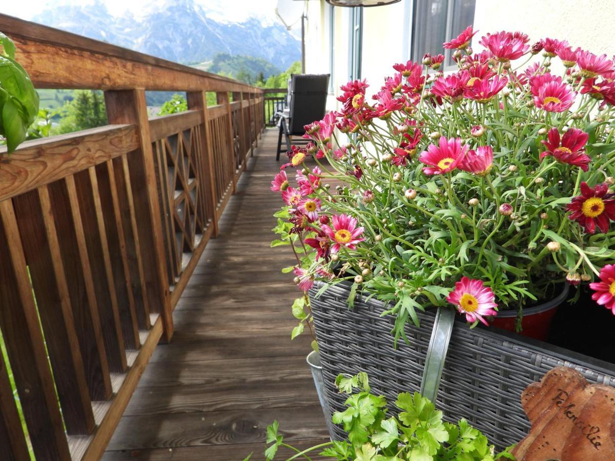 Bio-Bauernhof Einberghof Apartment Pfarrwerfen Ngoại thất bức ảnh