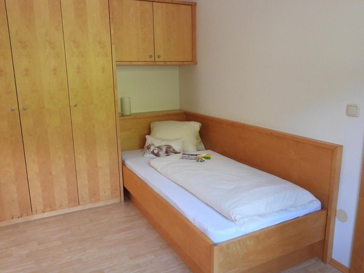 Bio-Bauernhof Einberghof Apartment Pfarrwerfen Ngoại thất bức ảnh