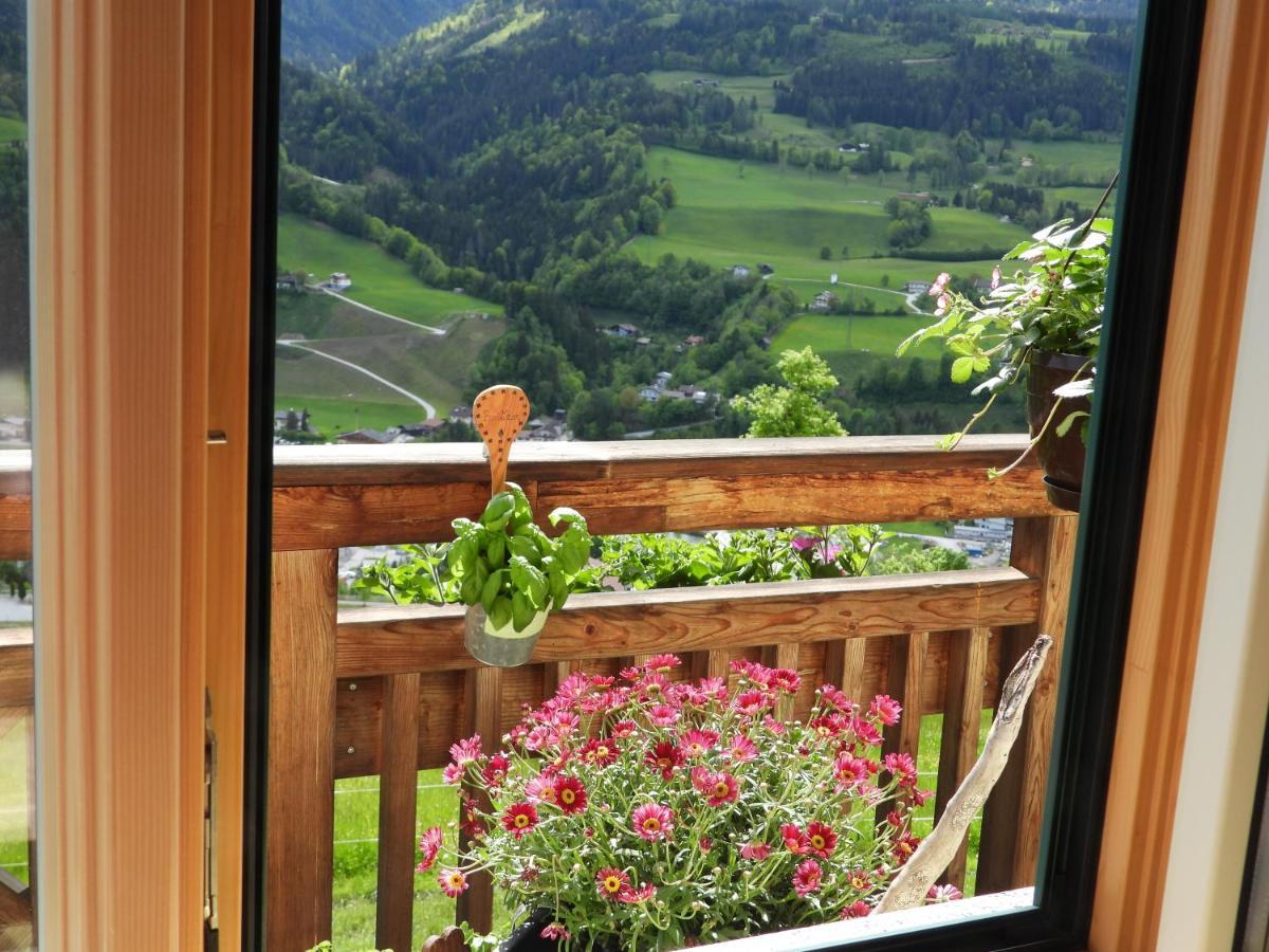 Bio-Bauernhof Einberghof Apartment Pfarrwerfen Ngoại thất bức ảnh