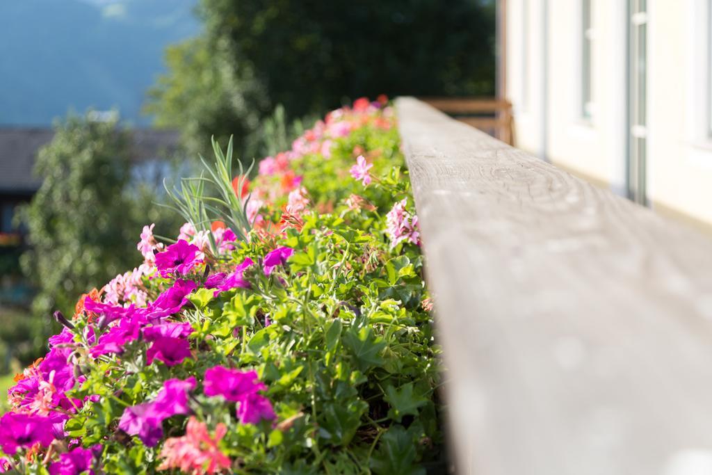 Bio-Bauernhof Einberghof Apartment Pfarrwerfen Ngoại thất bức ảnh